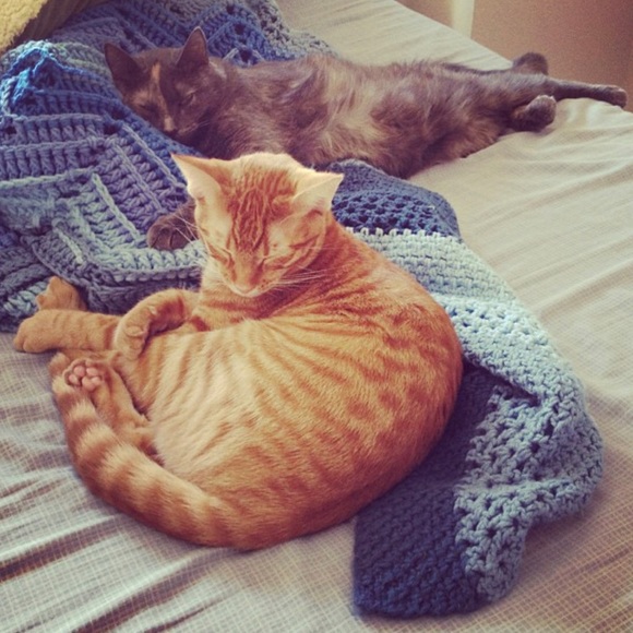 Closet Guidelines! - Picture 2 of 3